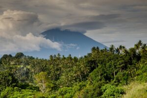 Descubriendo la belleza natural en Costa Rica
